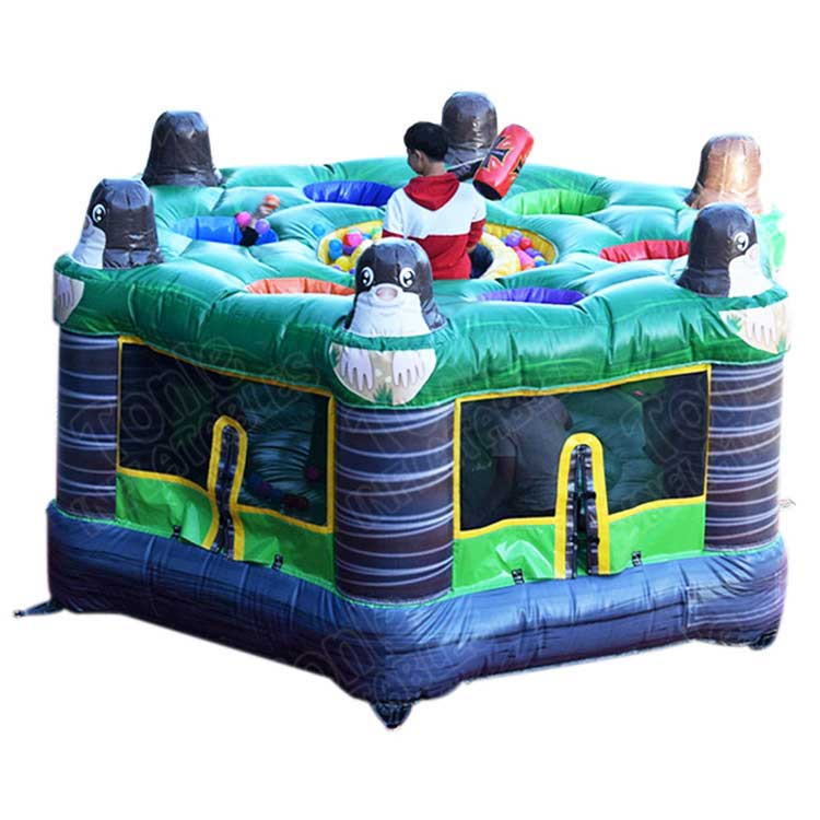whack a mole inflatable